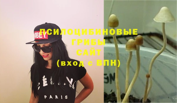 2c-b Гусь-Хрустальный