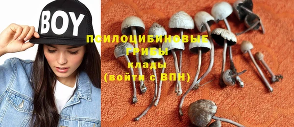 2c-b Гусь-Хрустальный