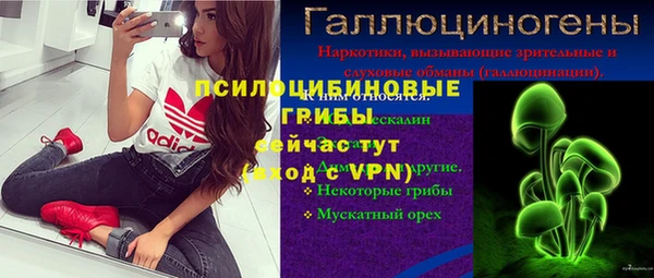 ALPHA-PVP Гусев